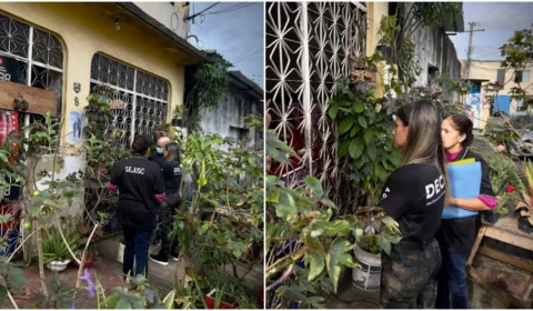 VÍDEO: mulher é presa por maltratar a própria mãe idosa e gatos em Manaus