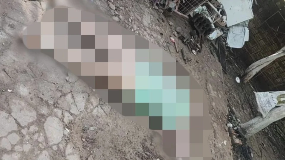 Mulher é morta a tiros após ter casa invadida por suspeitos armados no AM