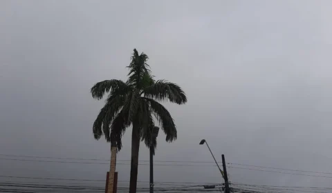 Previsão do tempo em Manaus: confira o clima nesta sexta, 17