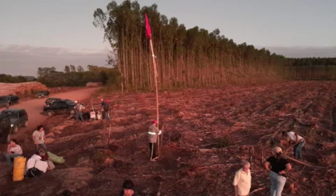 Conflito entre MST e Suzano contará com atuação do ministro Paulo Teixeira