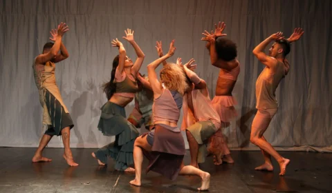 Comissão aprova projeto que valoriza profissionais do balé e da música clássica