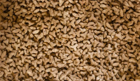 Projeto de lei propõe banco público de ração para animais no Tocantins