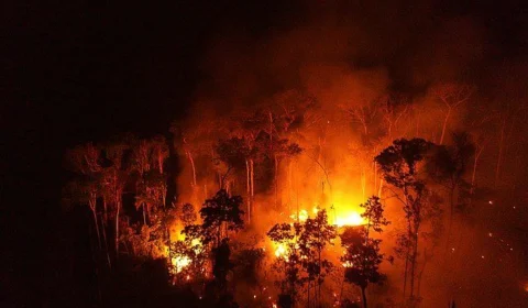 Em apenas 3 dias de outubro, focos de calor no AM sobem 380% comparado a 2022