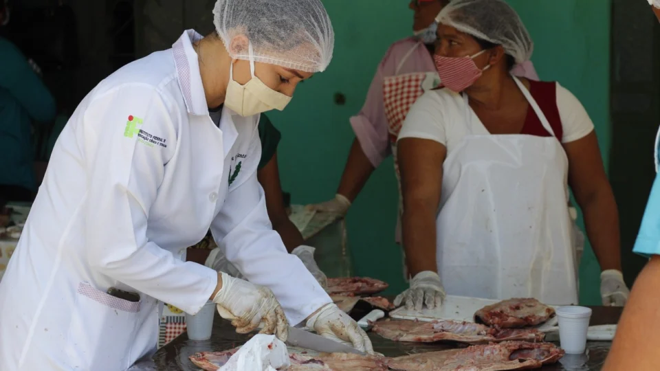 Curso de beneficiamento de pescado é realizado em Rio Preto da Eva-AM