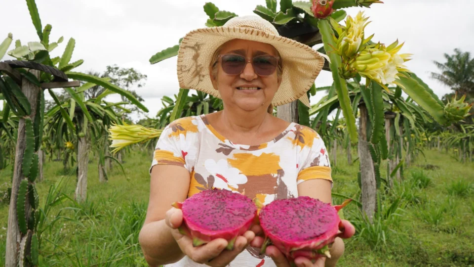 FPS recebe propostas para setor primário até esta sexta-feira, 31, no AM