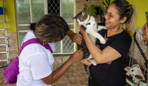 Agendamento para castração de gatos é realizado na Zona Leste de Manaus