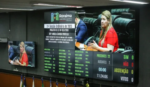 Assembleia aprova PL’s para segurança e proteção animal em Roraima