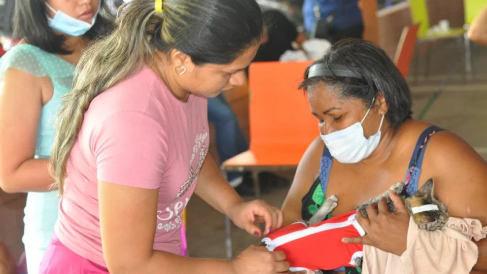 Parintins-AM recebe serviços do ‘castramóvel’ a partir de sexta-feira, 7