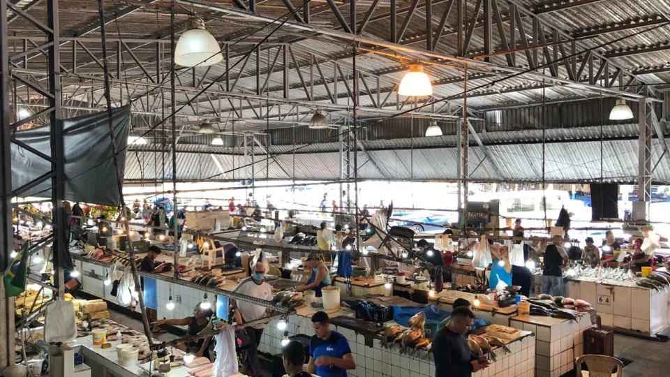 Semana Santa: confira preços de peixes em feiras de Manaus