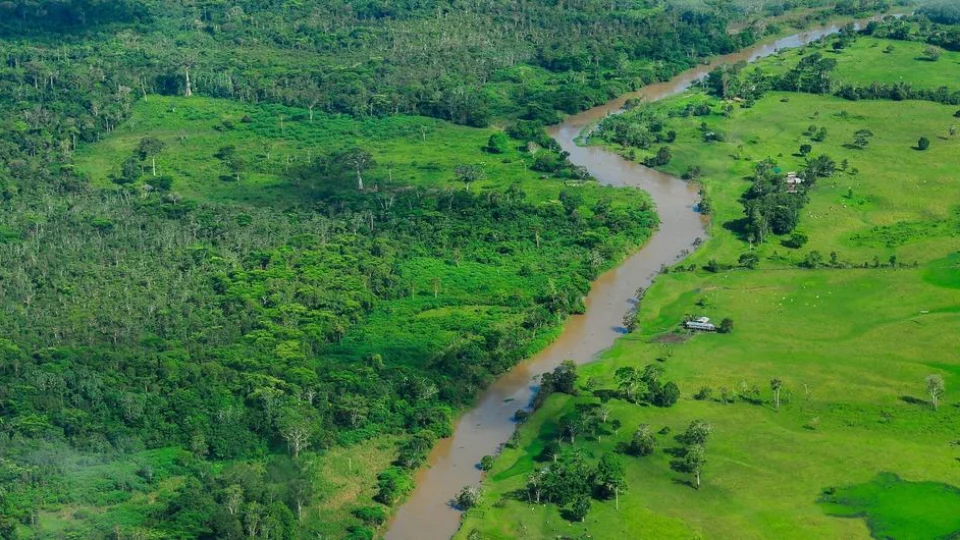 Florestas tropicais: Lula anuncia aliança com Indonésia e Congo
