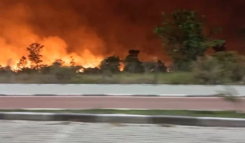 Incêndio atinge área florestal do Aeroporto Internacional de Boa Vista