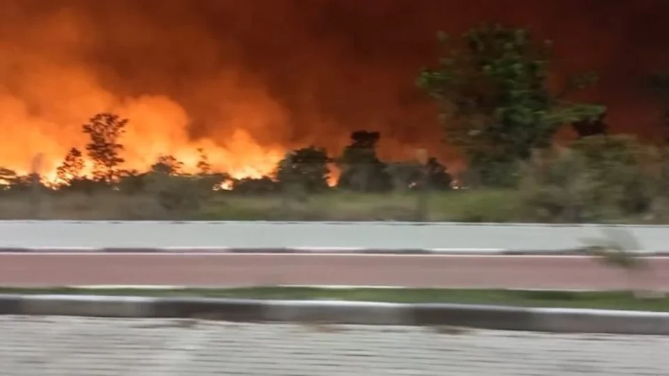 Incêndio atinge área florestal do Aeroporto Internacional de Boa Vista