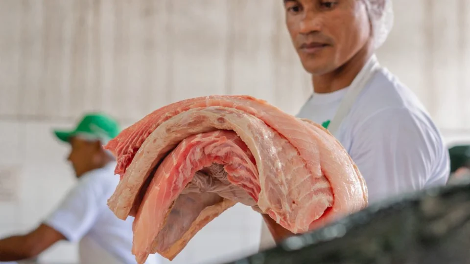 Semana Santa: FAS realiza feira com pescado do manejo sustentável em Manaus