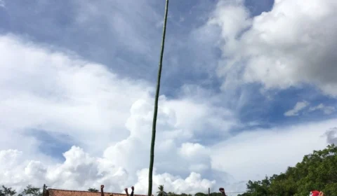 Abril Vermelho: MST invade terras em Timbaúba, no Pernambuco