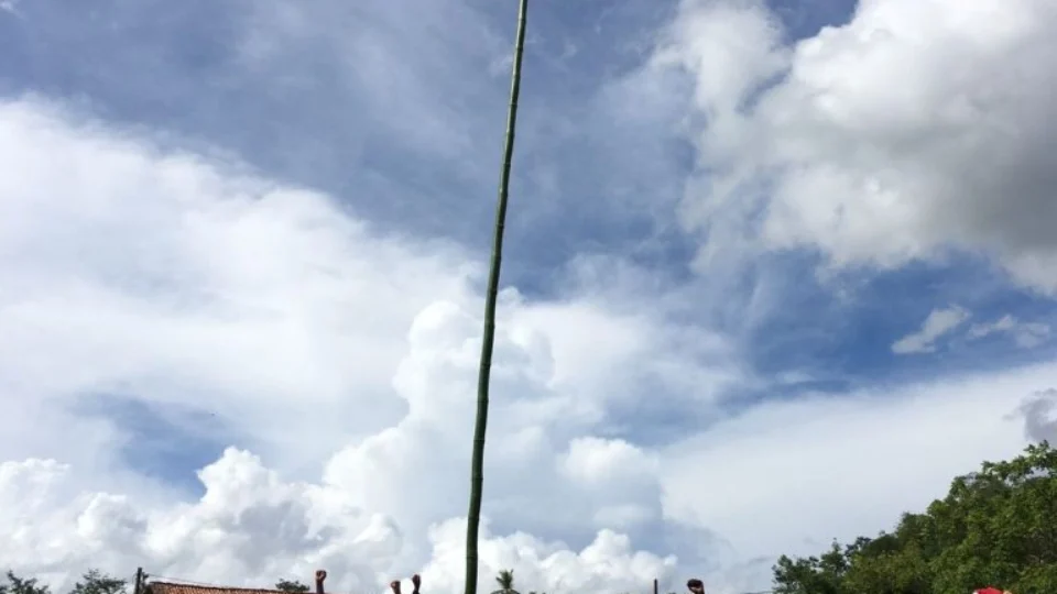 MST deixa área de preservação da Embrapa, em Pernambuco