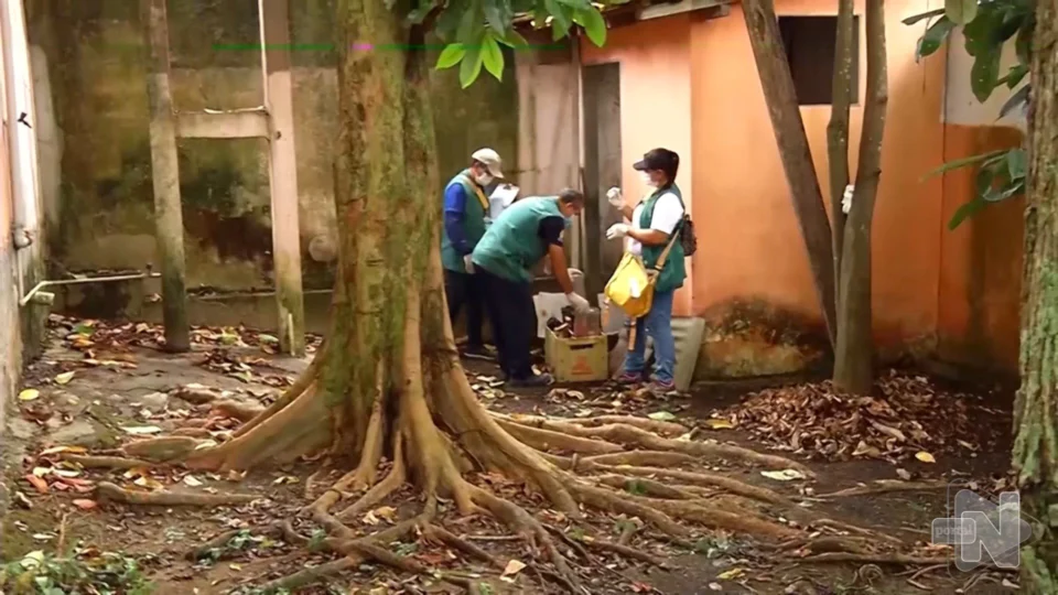 VÍDEO: alta de dengue ocorre no Amazonas e seis mil casos são registrados