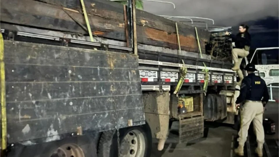 Ação apreende 23m³ de madeira irregular na BR-401 em Cantá-RR