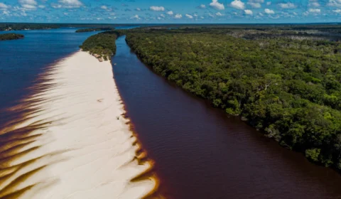 No AM, Barcelos atrai visitantes através da pesca esportiva e festividades