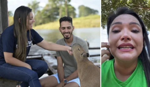 Capivara Filó: deputada afirma que animal está sendo maltratado