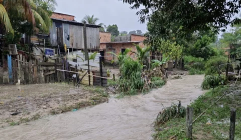 Defesa Civil atende ocorrências da chuva nesta quinta (7), em Manaus