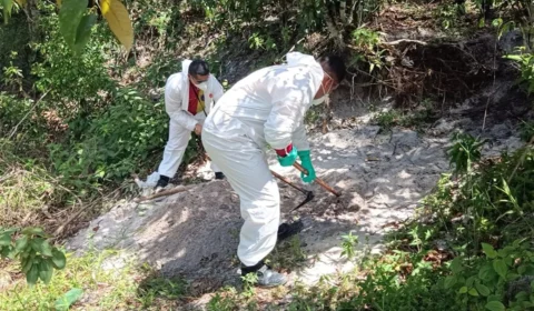 VÍDEO: corpo é encontrado em terreno particular da Zona Leste de Manaus 