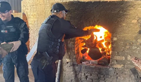 Polícia incinera mais de 160 kg de drogas em Dueré, no Tocantins