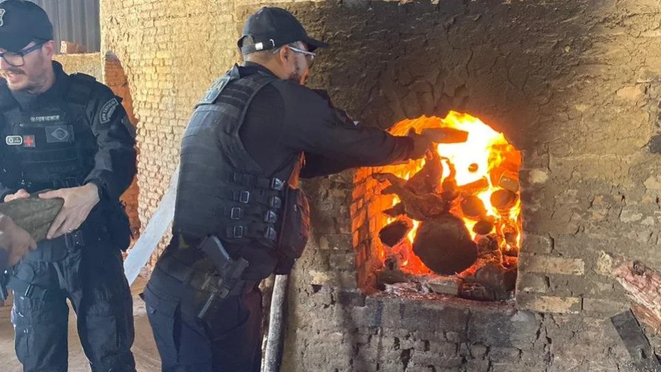 Polícia incinera mais de 160 kg de drogas em Dueré, no Tocantins