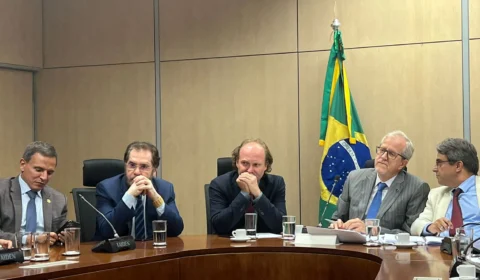 Indústria da madeira é discutida por bancada da região norte e Ibama em Brasília