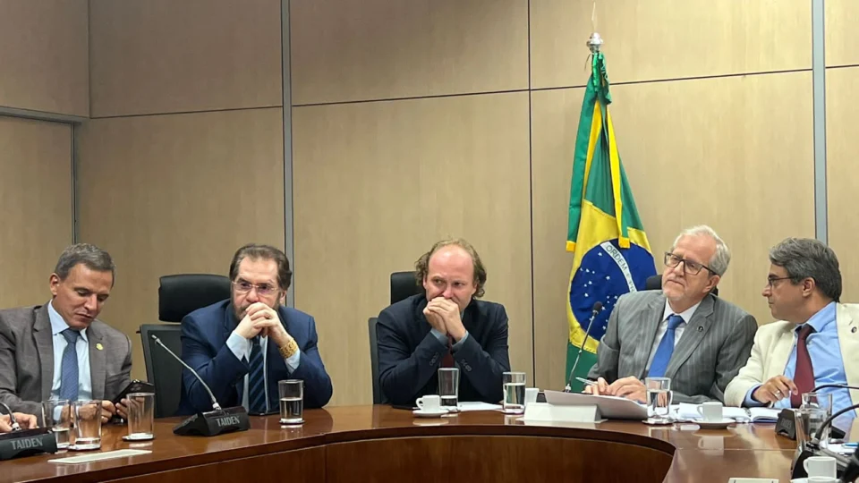 Indústria da madeira é discutida por bancada da região norte e Ibama em Brasília