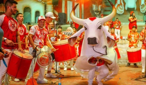 Conheça curiosidades do Boi Garantido