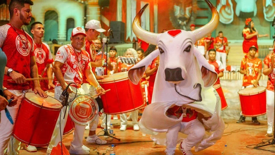 Conheça curiosidades do Boi Garantido