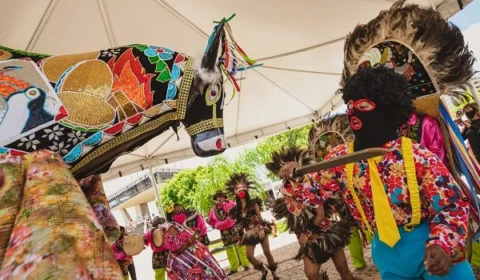 Bumba meu boi: antigamente proibido, atualmente prestigiado