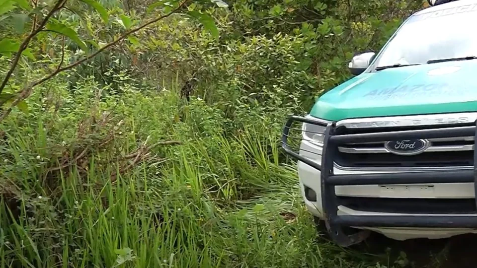 VÍDEO: corpo é encontrado em área de mata na Zona Oeste de Manaus