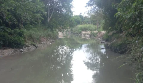 Corpo de homem é encontrado em igarapé na Zona Norte de Manaus