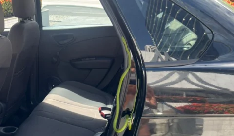 Vídeo: influenciadora digital dá de cara com cobra em carro na BA