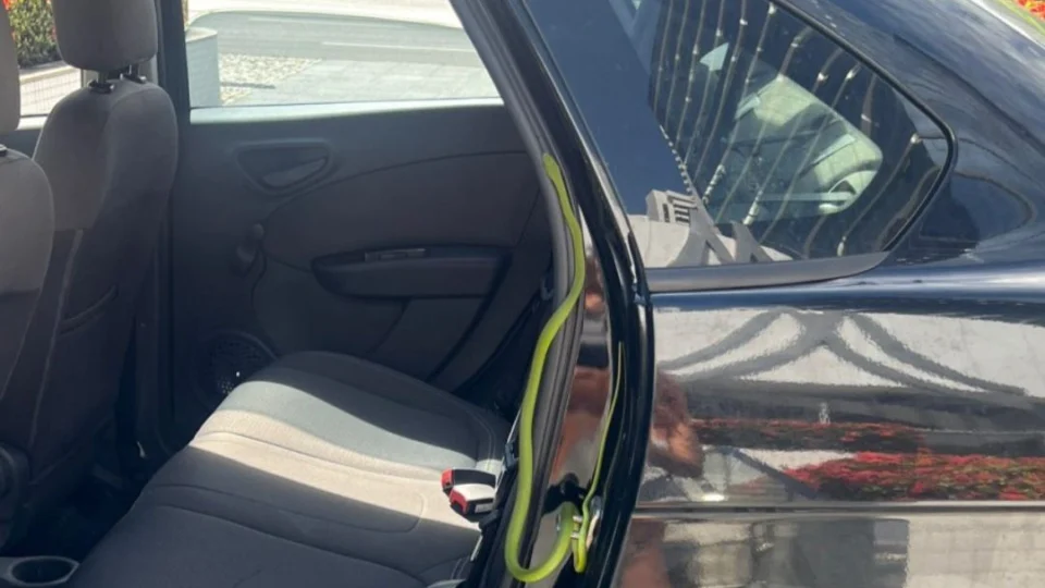 Vídeo: influenciadora digital dá de cara com cobra em carro na BA