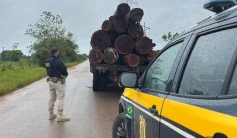 PRF flagra adolescente transportando madeira ilegal ao Sul de Roraima