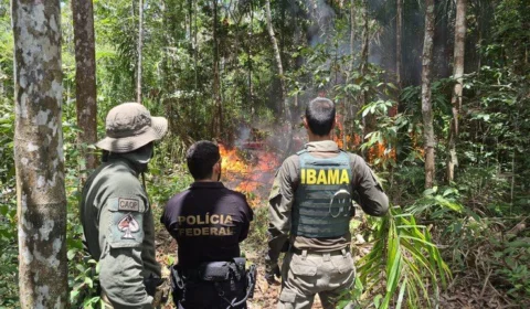 PF destrói três aeronaves de suporte ao crime na Terra Indígena Yanomami