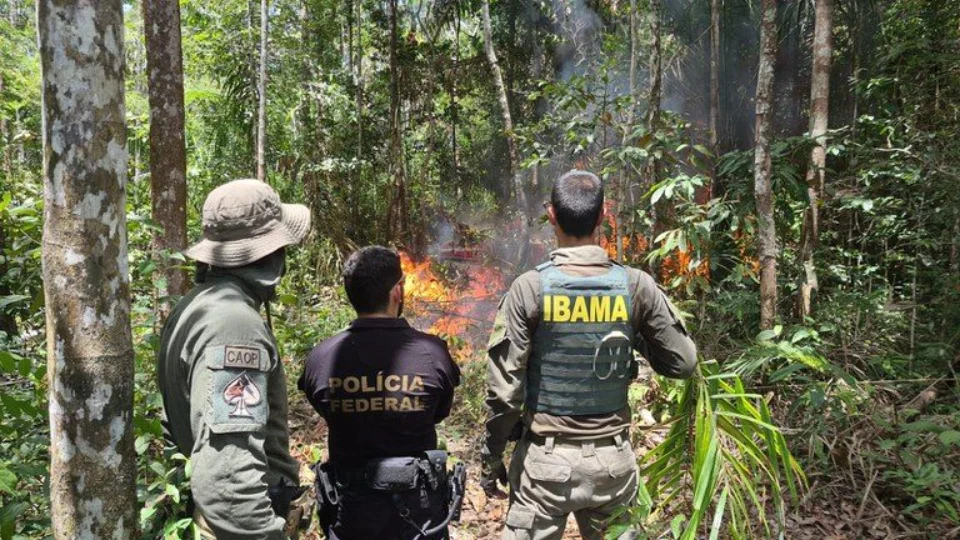 PF destrói três aeronaves de suporte ao crime na Terra Indígena Yanomami