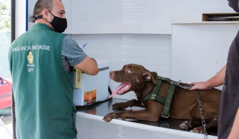 Vacinação antirrábica é realizada no bairro São Francisco em Manaus
