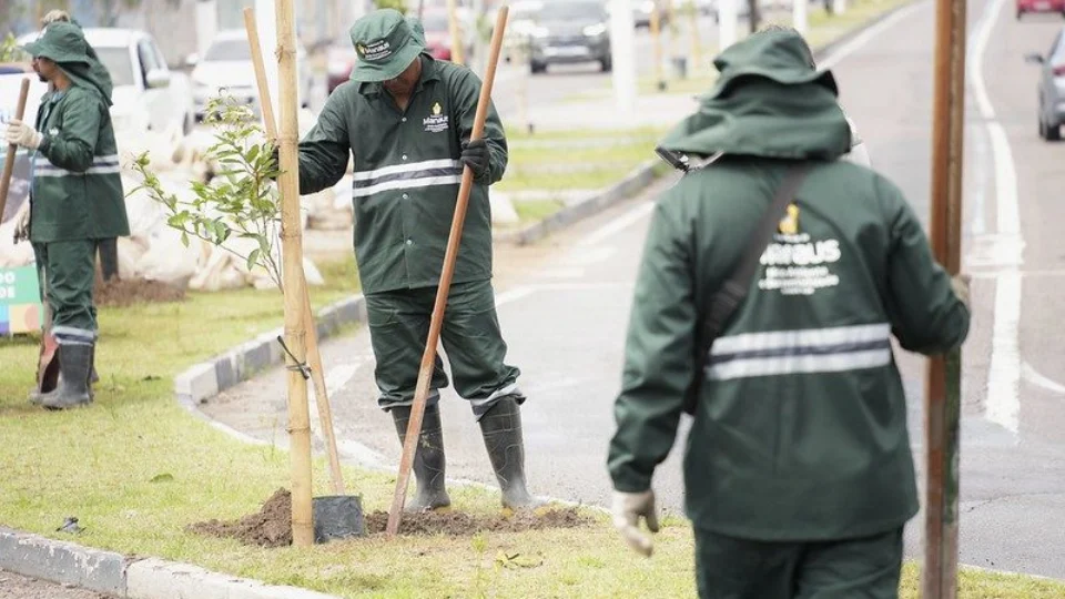 Plano de arborização pretende diminuir ‘Ilhas de Calor’ em Manaus no verão