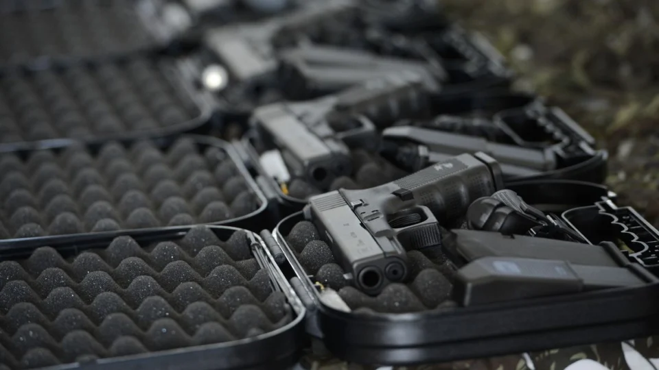 Dino deve entregar texto para decreto de armas nesta terça-feira, 23