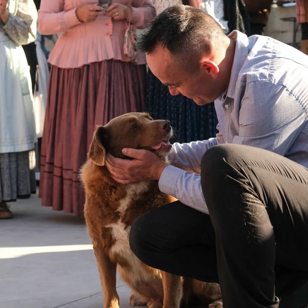 Festa de aniversário de Bobi, o cachorro mais velho do mundo - Foto: Reprodução/Instagram @bobiportugal