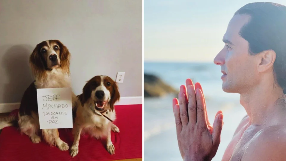 Cães de Jeff Machado são adotados e prestam homenagem: ‘Descanse em paz’
