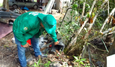 AM registra 8.018 casos de dengue entre janeiro e esta quinta, 4