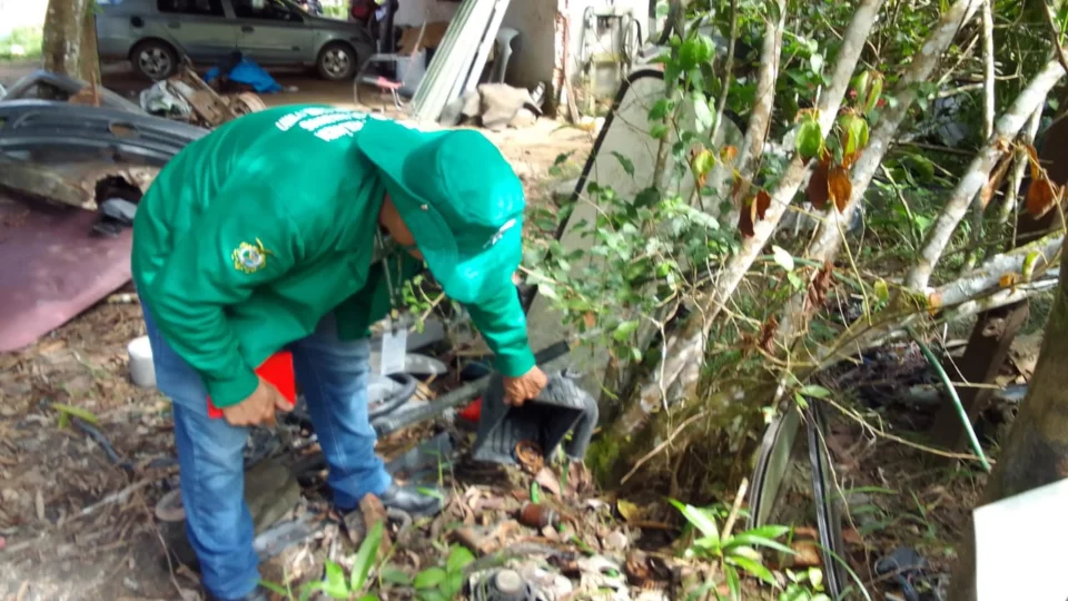 AM registra 8.018 casos de dengue entre janeiro e esta quinta, 4