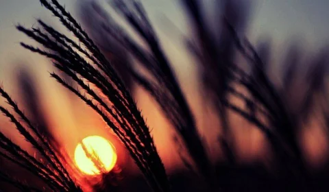 El Niño: OMM informa que fenômeno pode resultar em novos recordes de calor