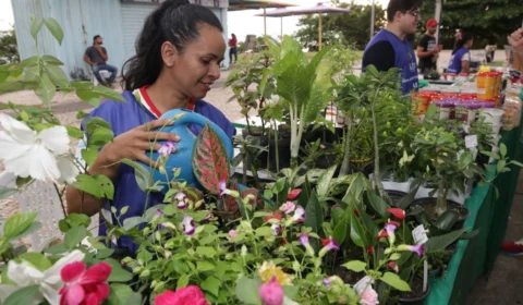 Feira da ADS pausa programação no Dia das Mães neste domingo, 14, no AM