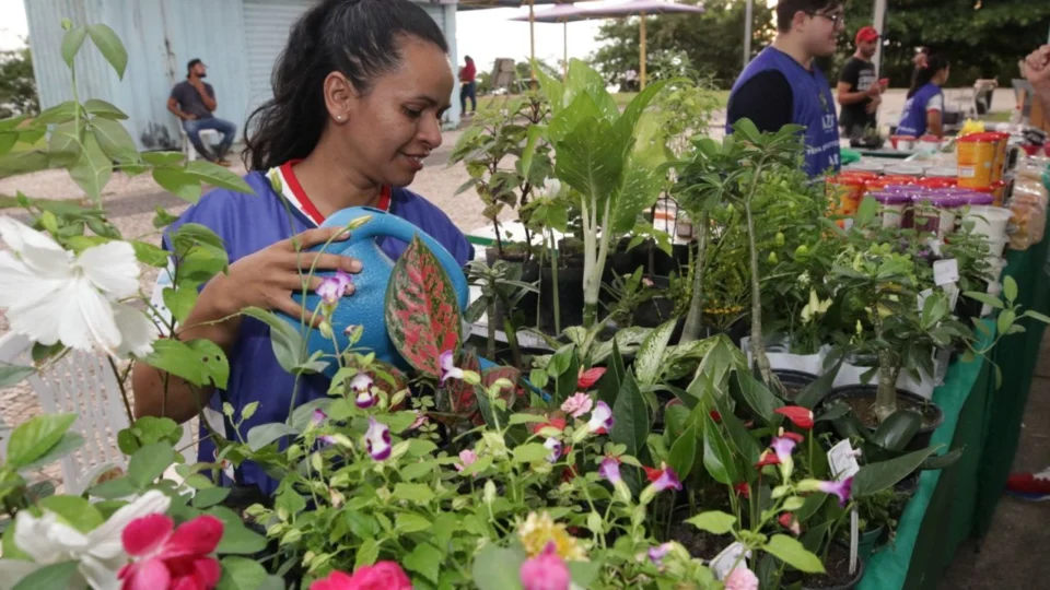 Feira da ADS pausa programação no Dia das Mães neste domingo, 14, no AM