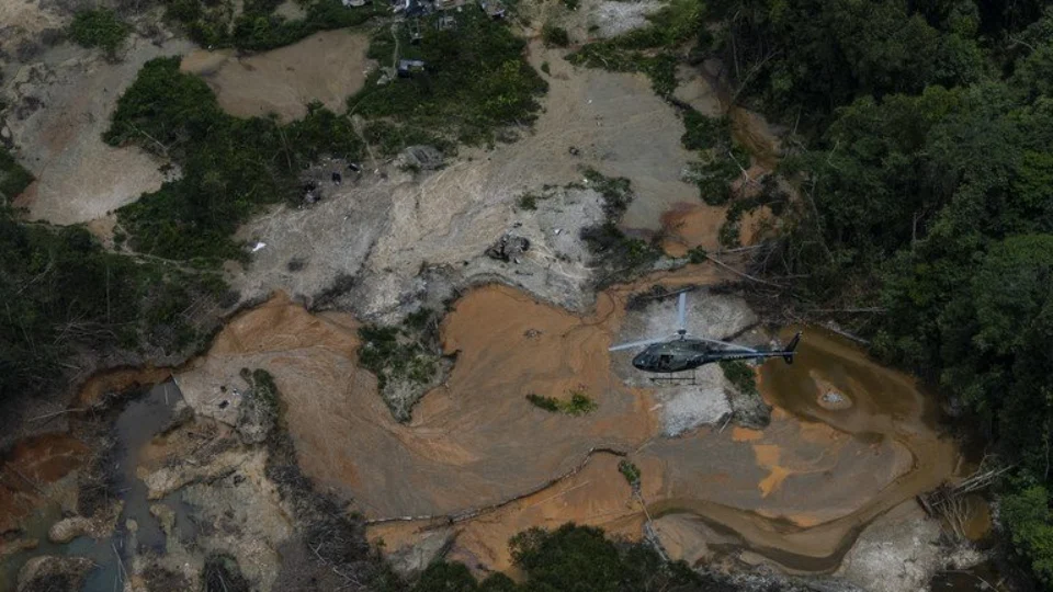 Polícia Federal encontra 8 corpos na Terra Indígena Yanomami em RR